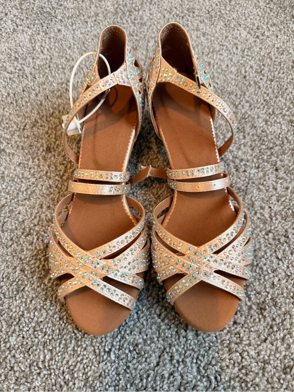 Dance and Sway Women's Rose Gold Ballroom Dance Heel